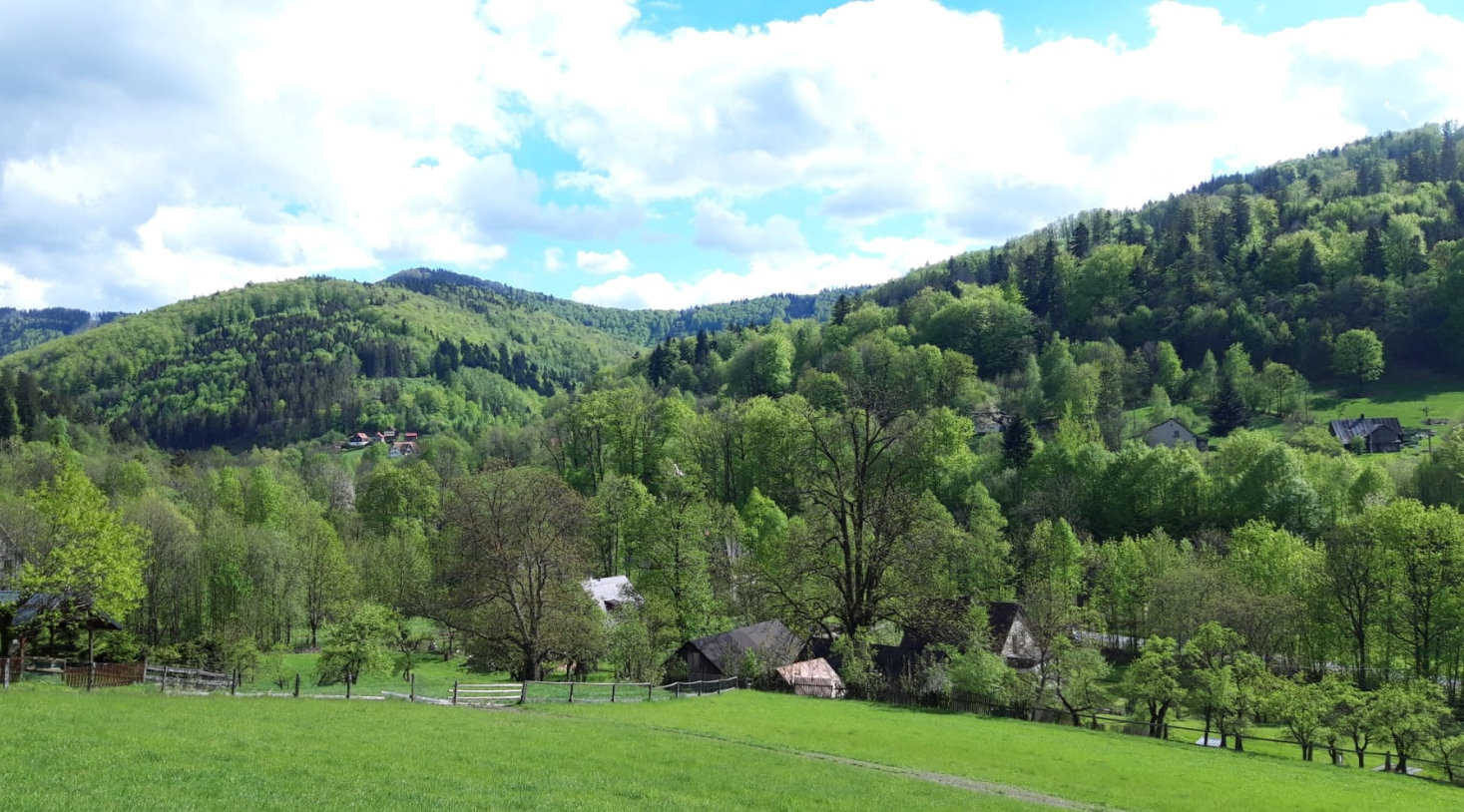 IMG-20211102-WA0006-w